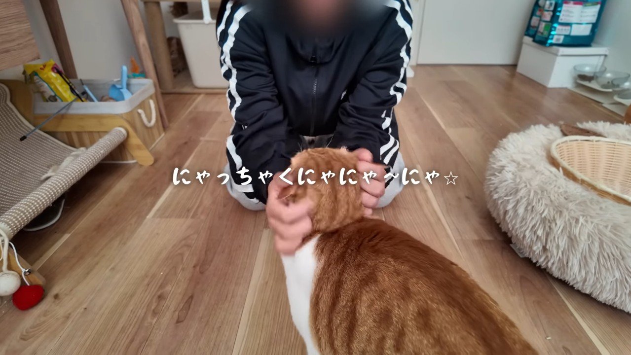 にゃっちゃく