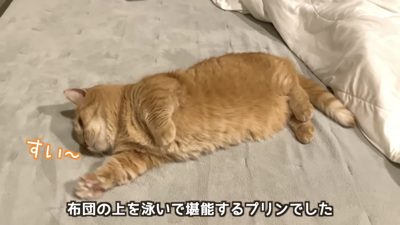 「布団の上を...」のテロップ写真