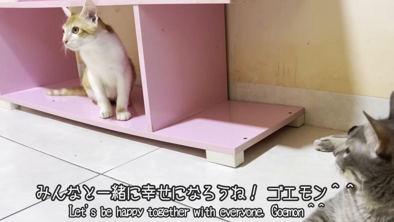 テロップ「みんなと一緒に～」