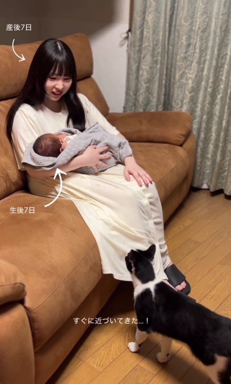 赤ちゃんを抱いた母親と猫