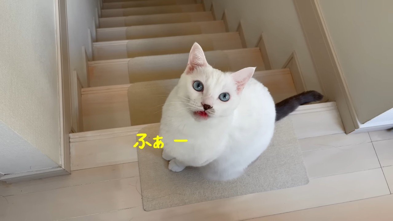 ふぁー