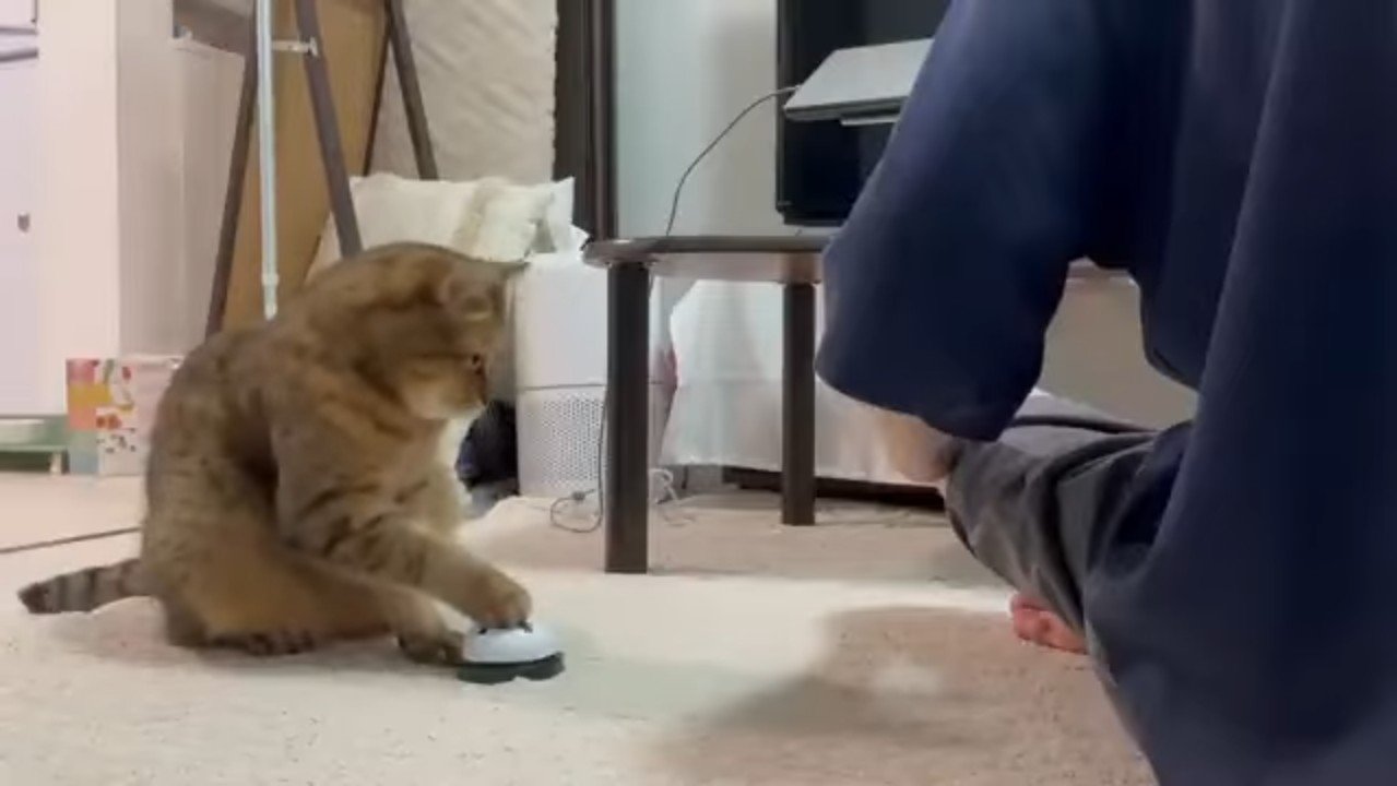 右前足でタッチ