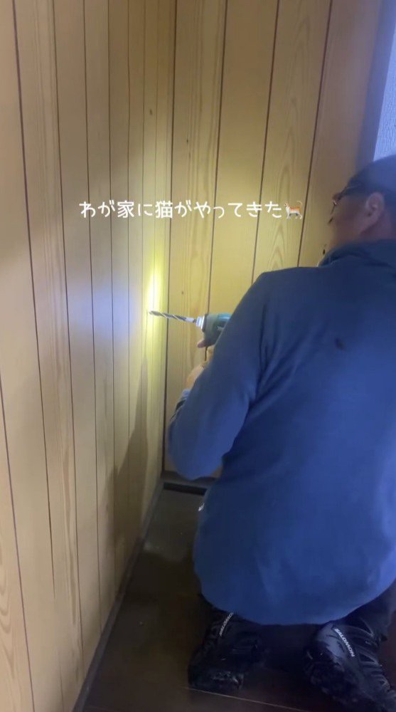 壁の前でドリルを持つ飼い主