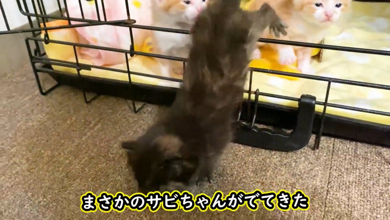 一番乗り