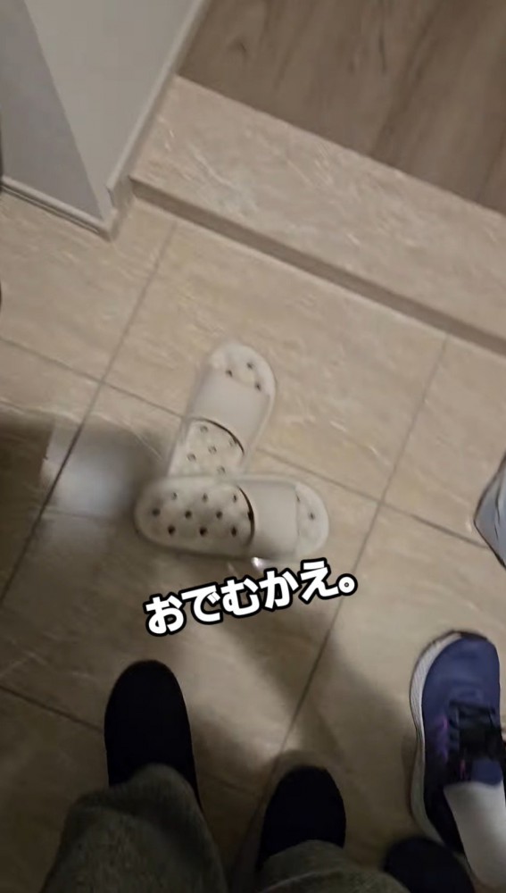 飼い主の足の間を通り過ぎていく子猫