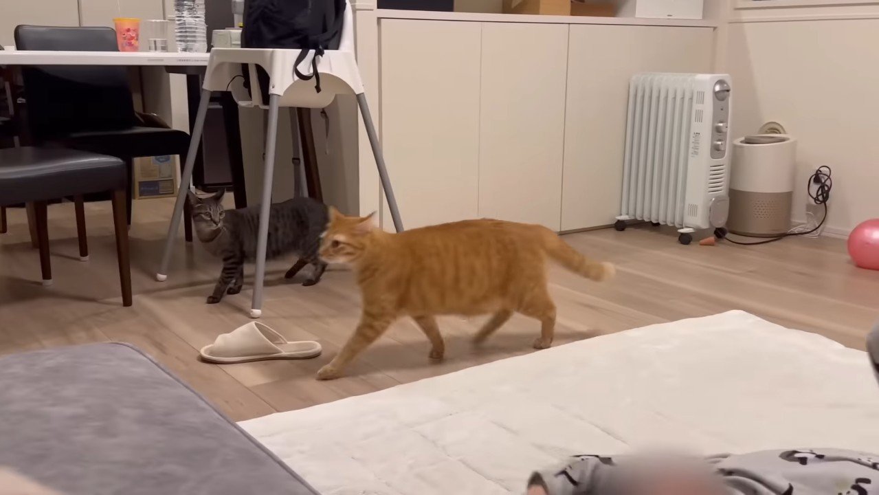 小走りするふたり