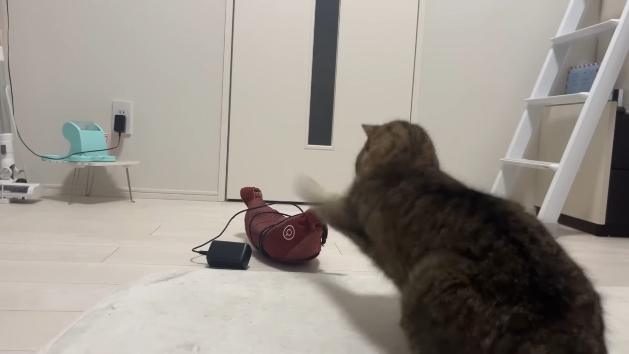 パンチする後ろ姿