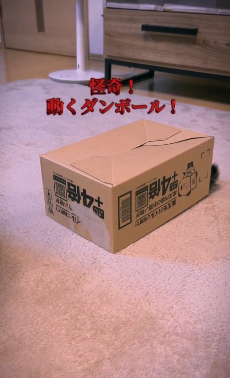 部屋に置いてある段ボール箱