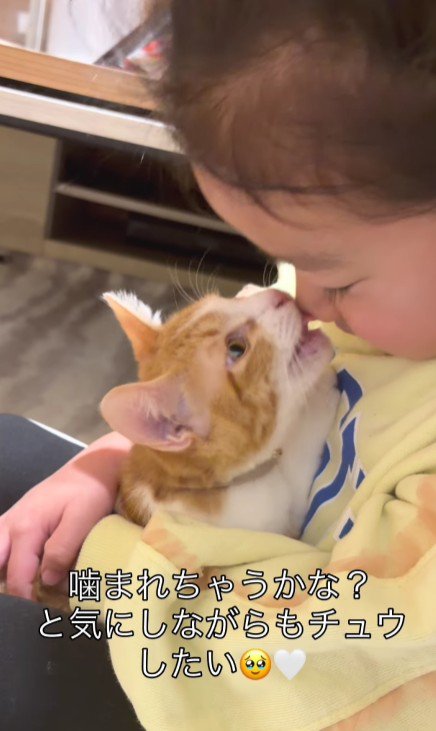 子猫を抱く女の子