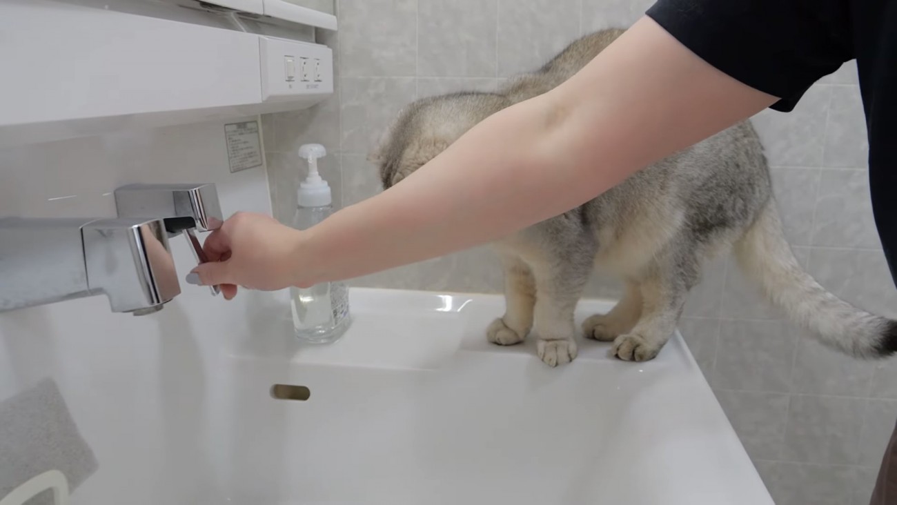 蛇口をひねる飼い主さんの手の写真