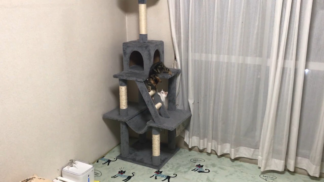 タワーで見つめ合うふたり