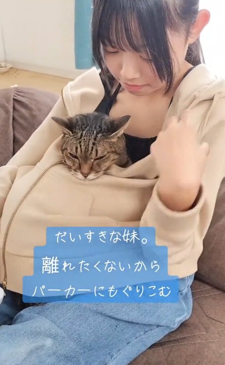 女の子のパーカーの中に入っている猫