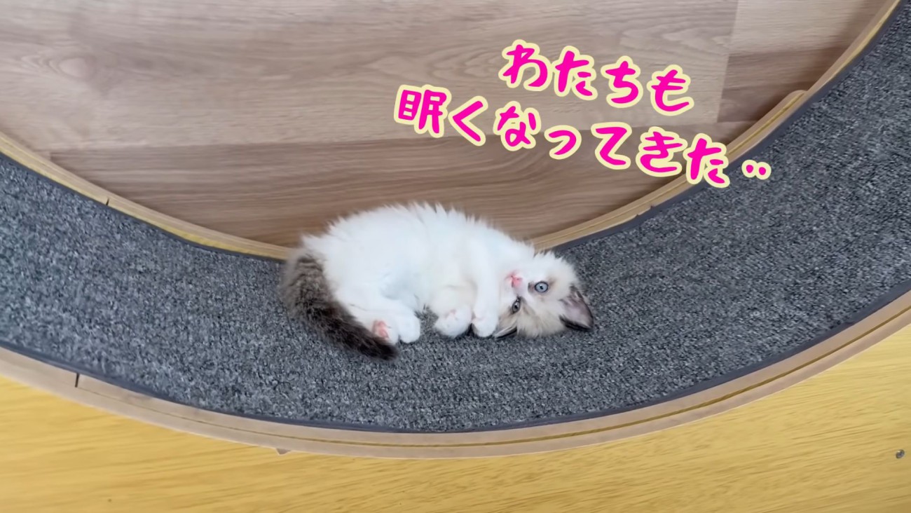 テロップ「わたちも眠く～」