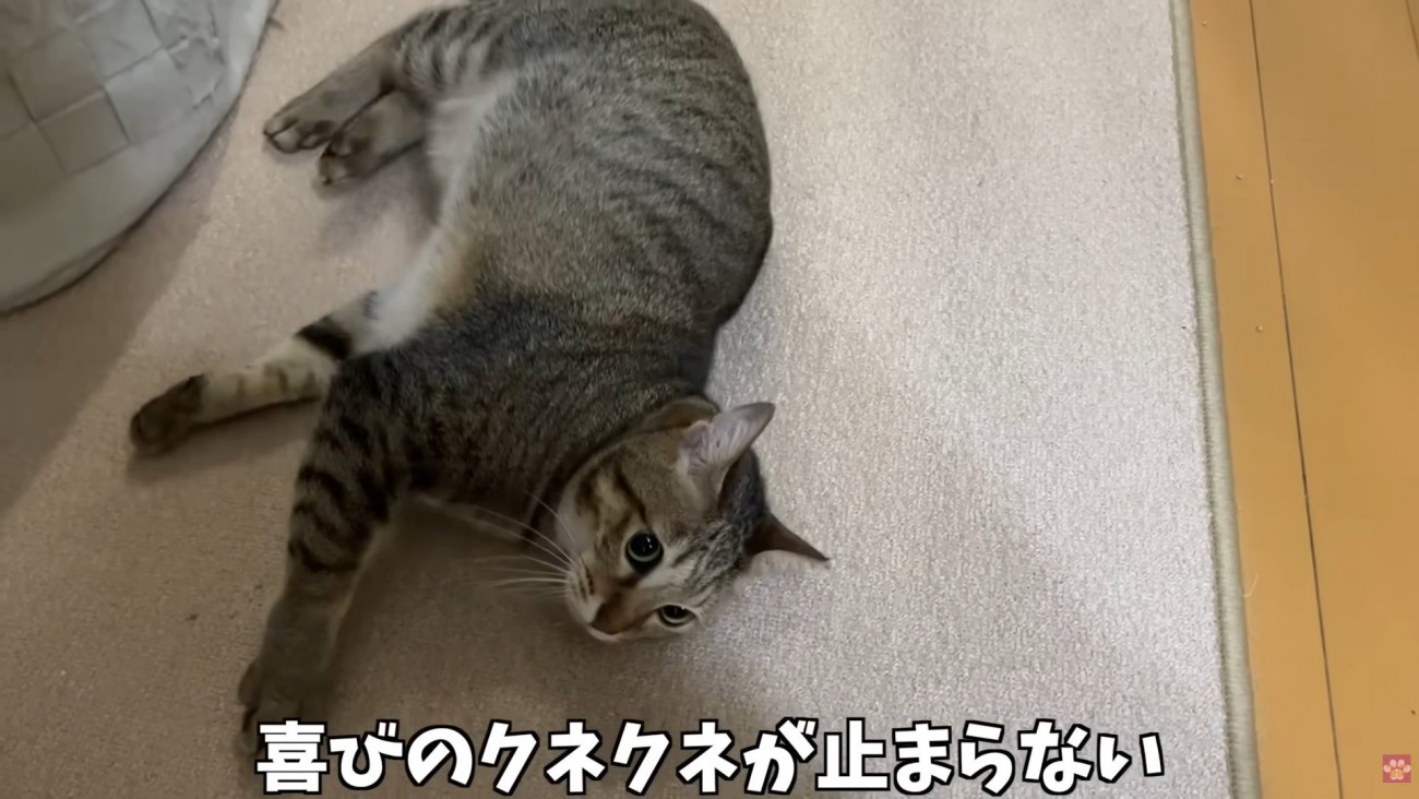 テロップ「喜びのクネクネが～」