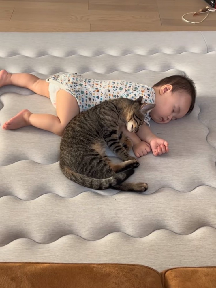 眠る赤ちゃんと猫