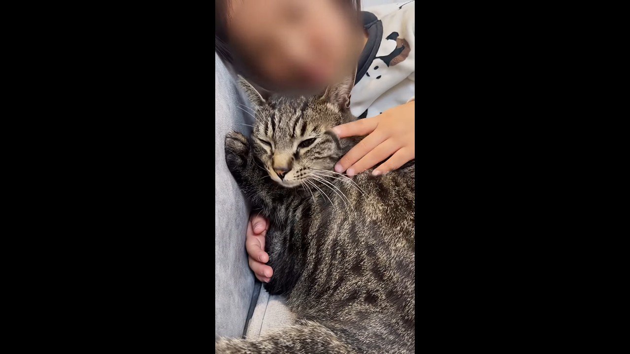 くっつくももまるちゃん