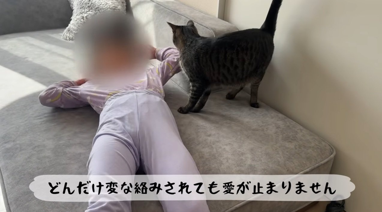 寝転がっている女の子と猫