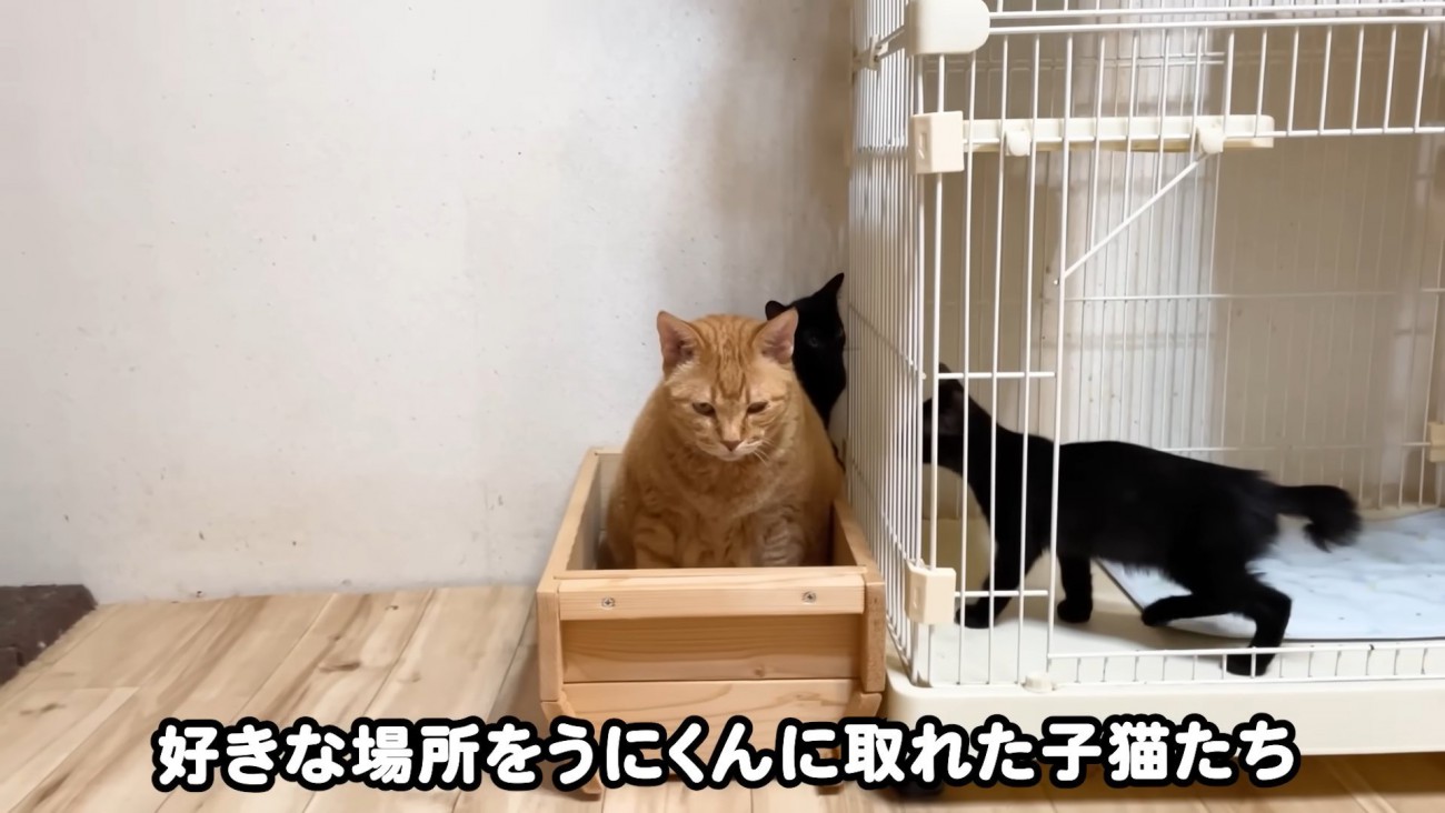 テロップ「好きな場所を～」