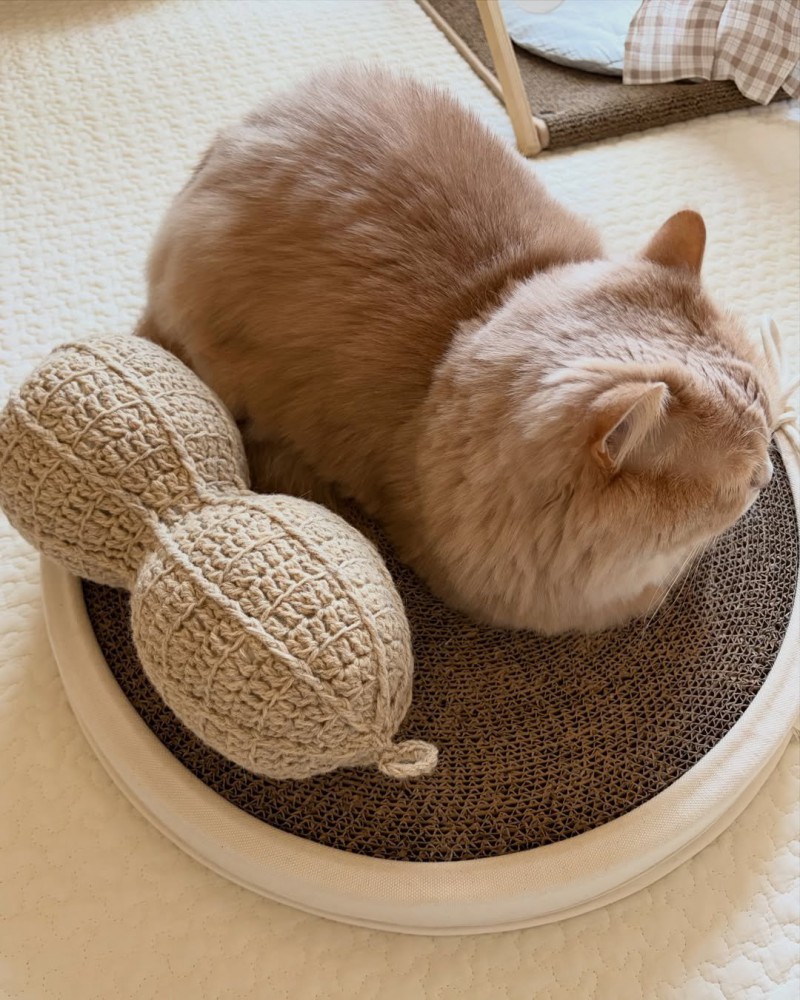 クッションの上に置かれたぬいぐるみと、その隣に座る猫