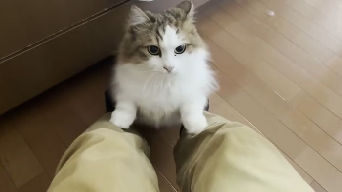 お母さんの膝乗り