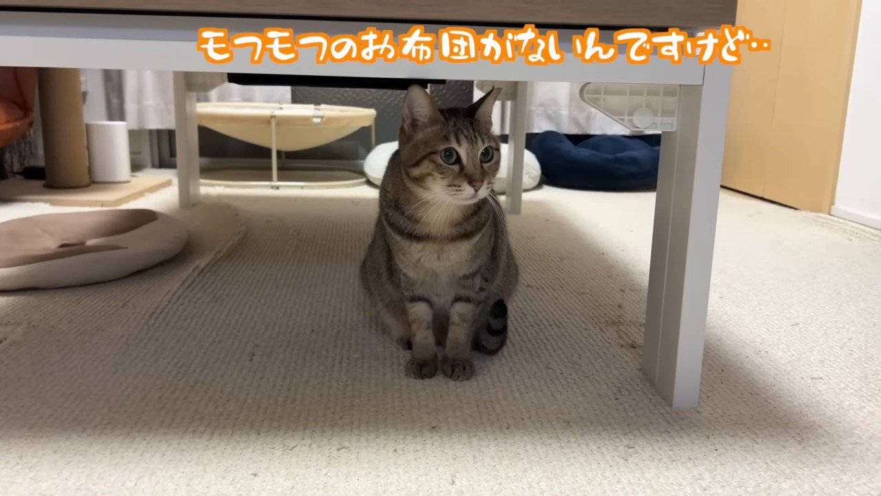 テーブルの下