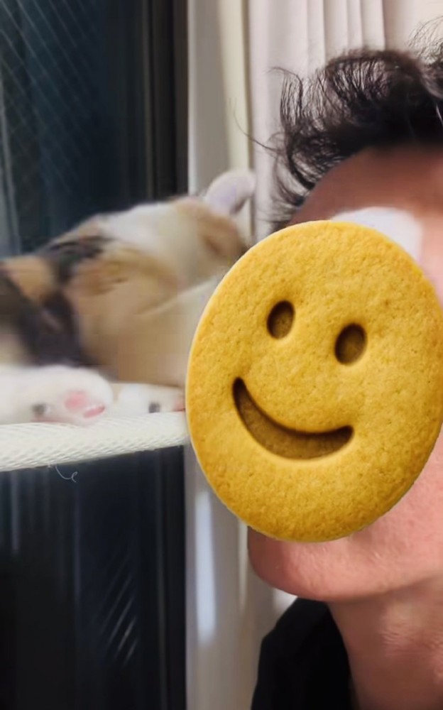 弟の顔にパンチする三毛猫