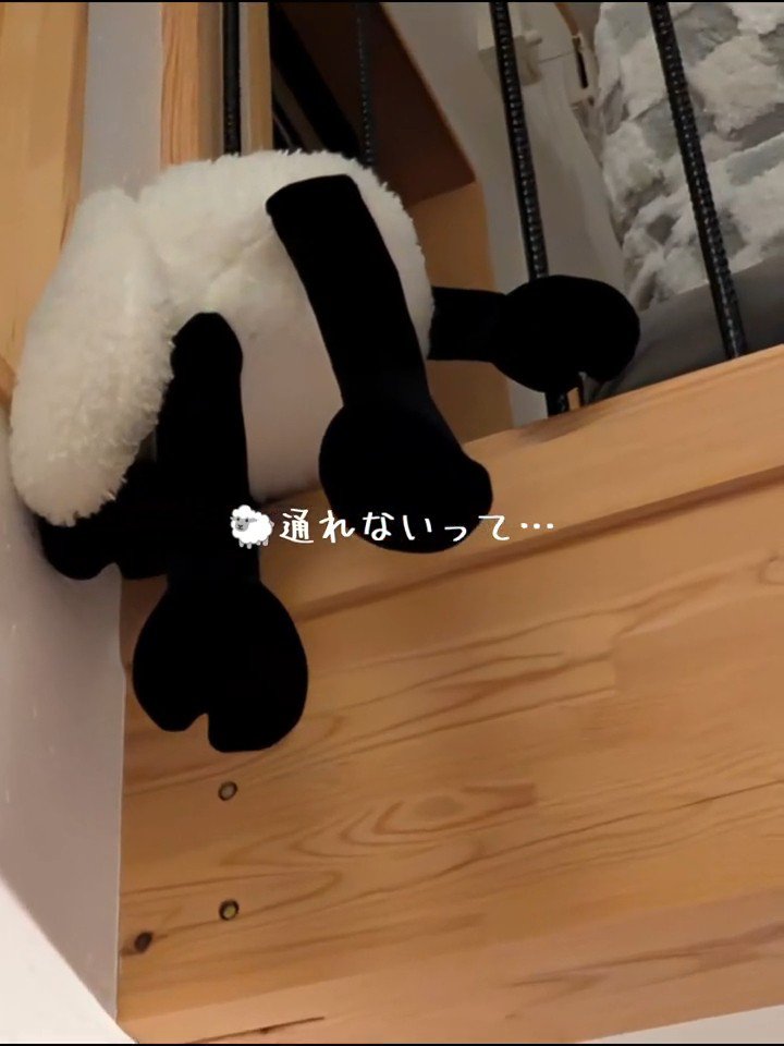 柵に引っかかる羊のぬいぐるみ