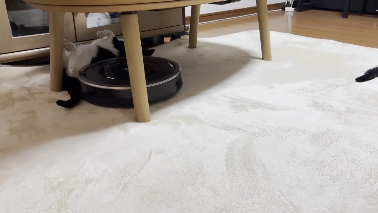 テーブルの下で仰向け