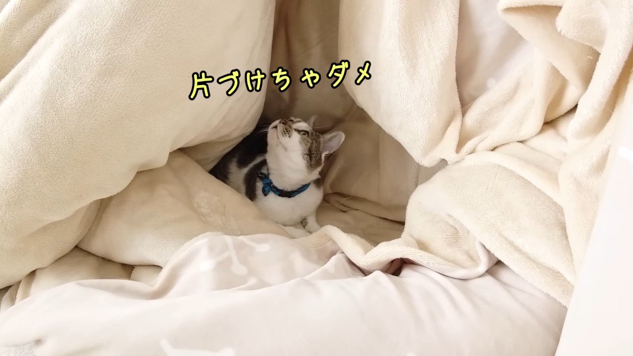 片付けちゃダメ