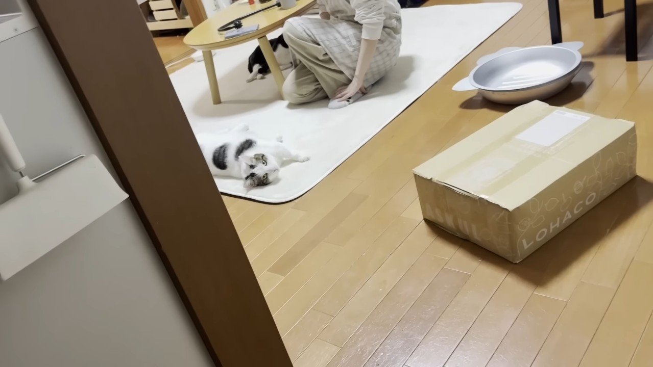 豆大福くんとママさん