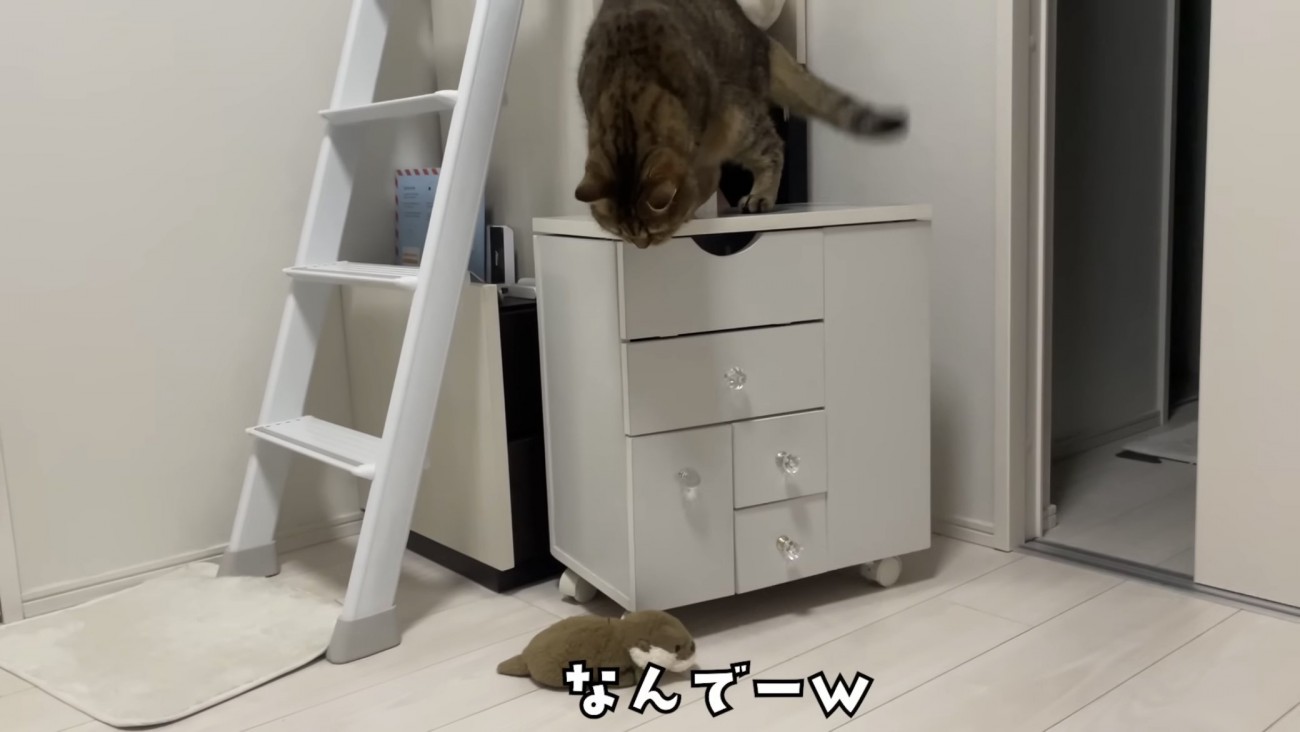 「なんでーw」のテロップ写真