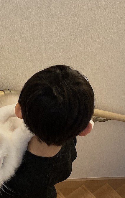 猫を抱き抱える小さな男の子