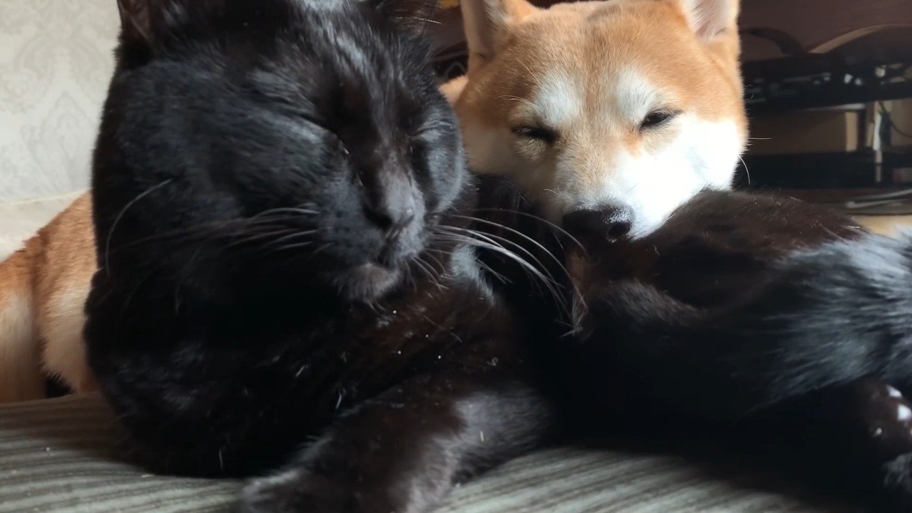 目を瞑るふたり