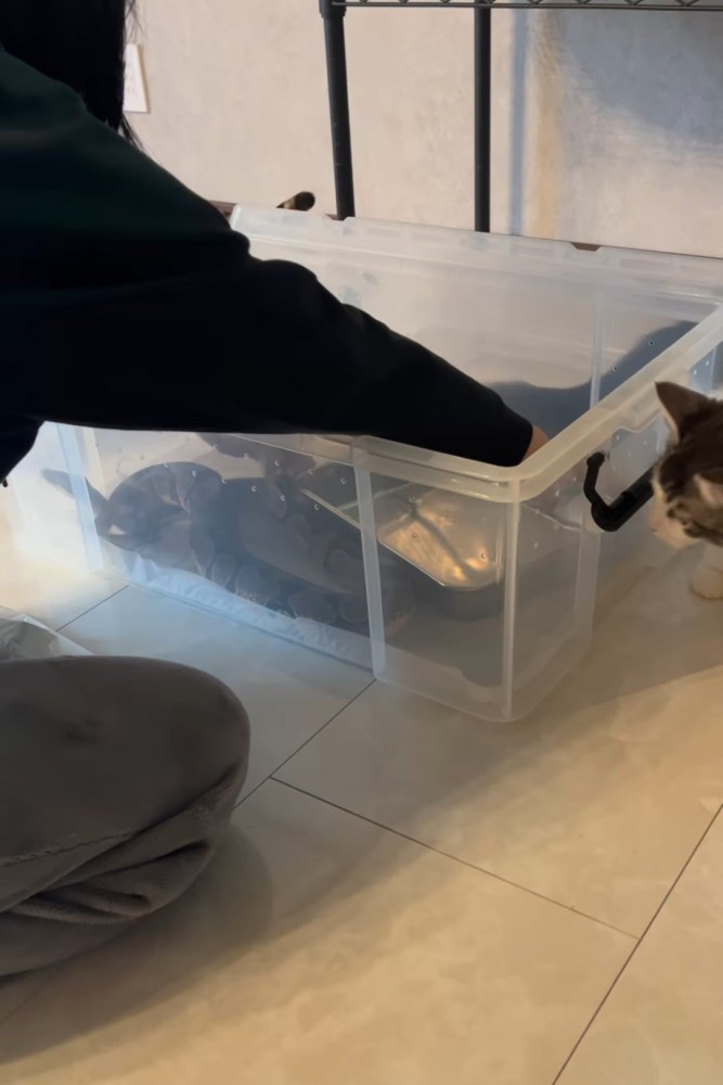 ケースに置かれる水の入れ物