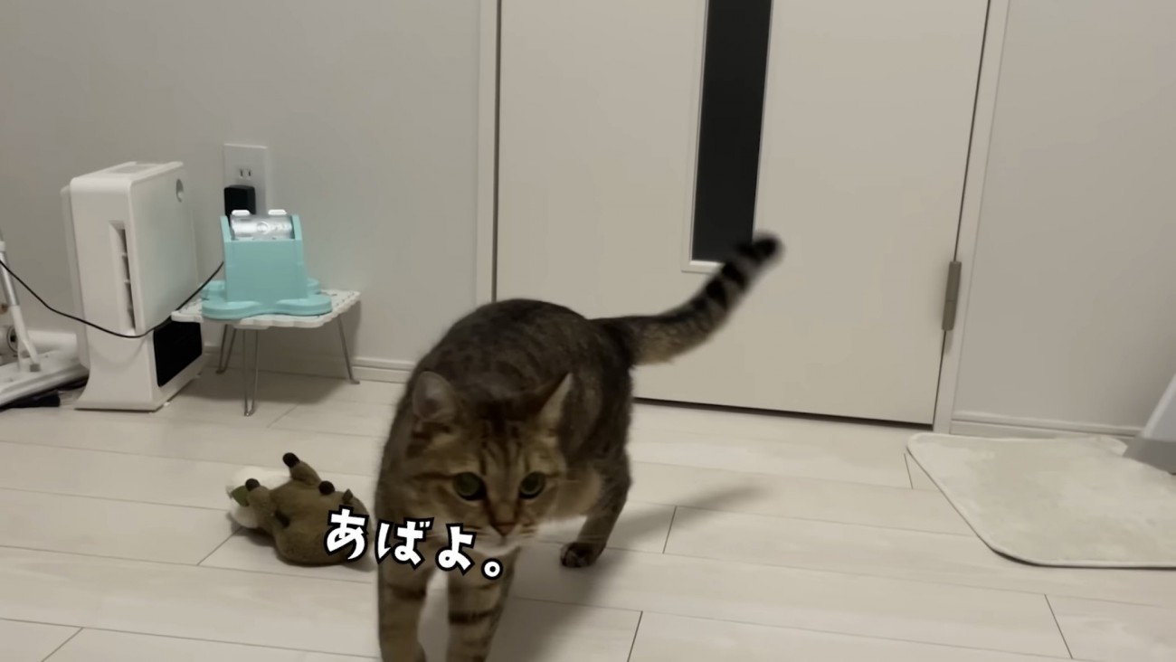 「あばよ。」のテロップ写真