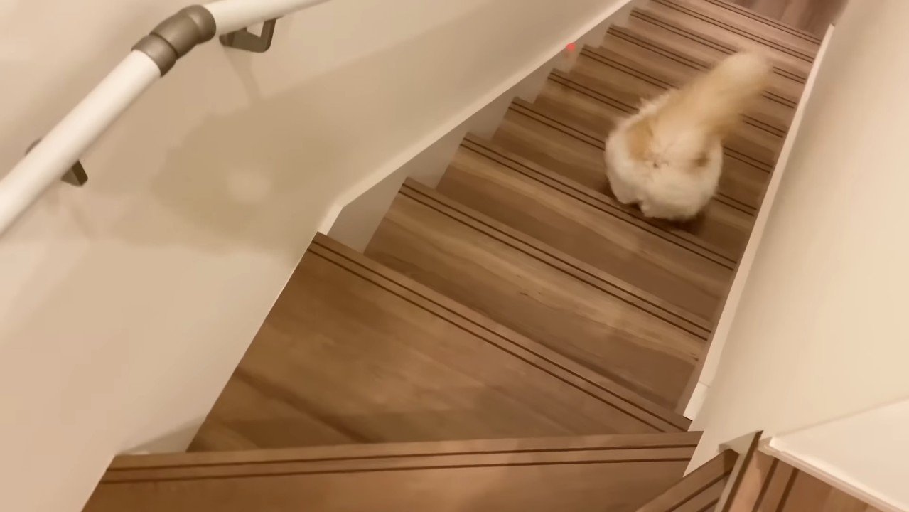 おもちゃと後ろ姿
