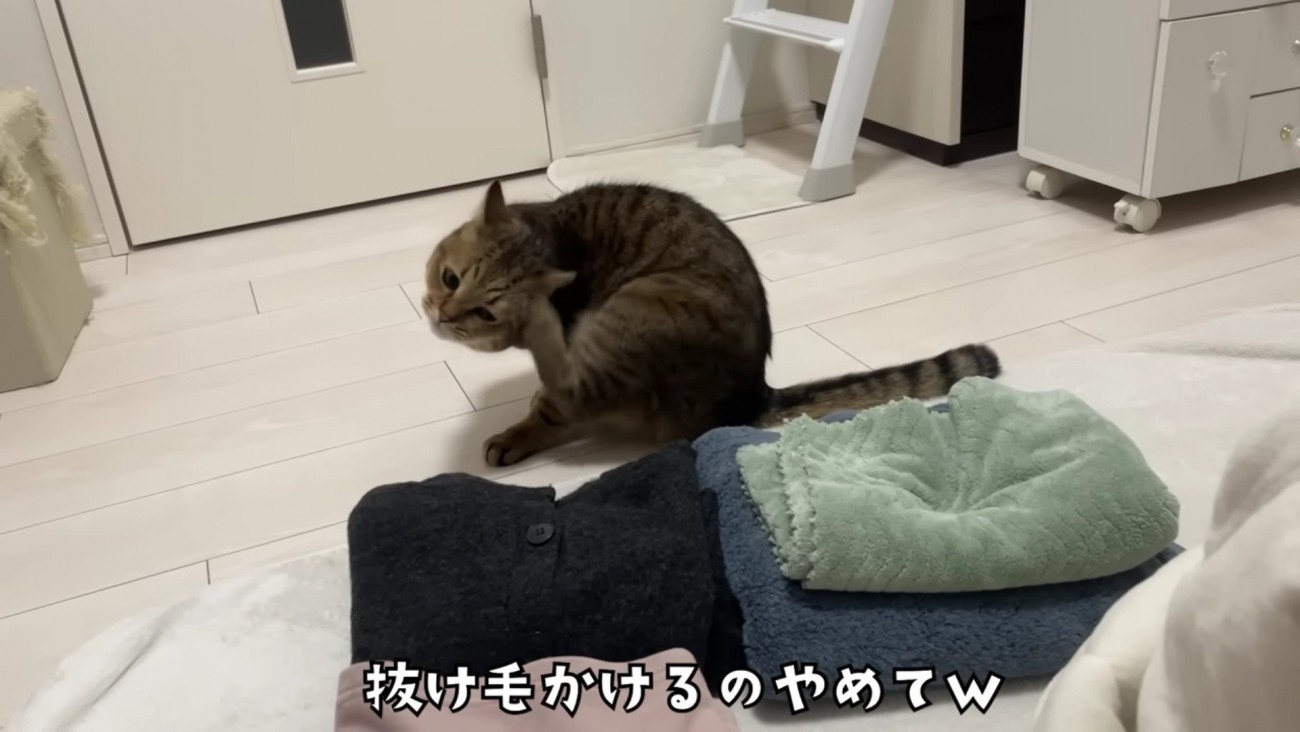 頭を掻くみにらくん