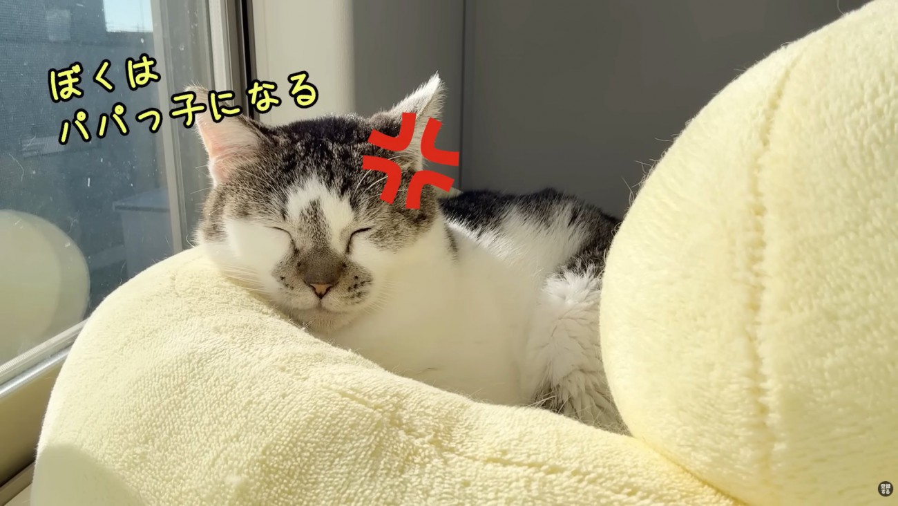 テロップ「ぼくはパパっ子になる」