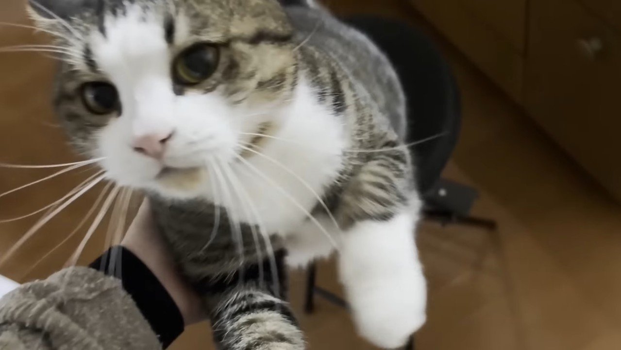 立ち上がろうと