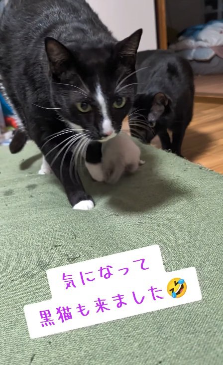 気になる