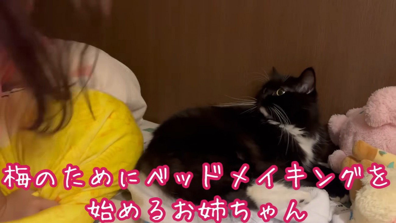 テロップ「梅のために～」