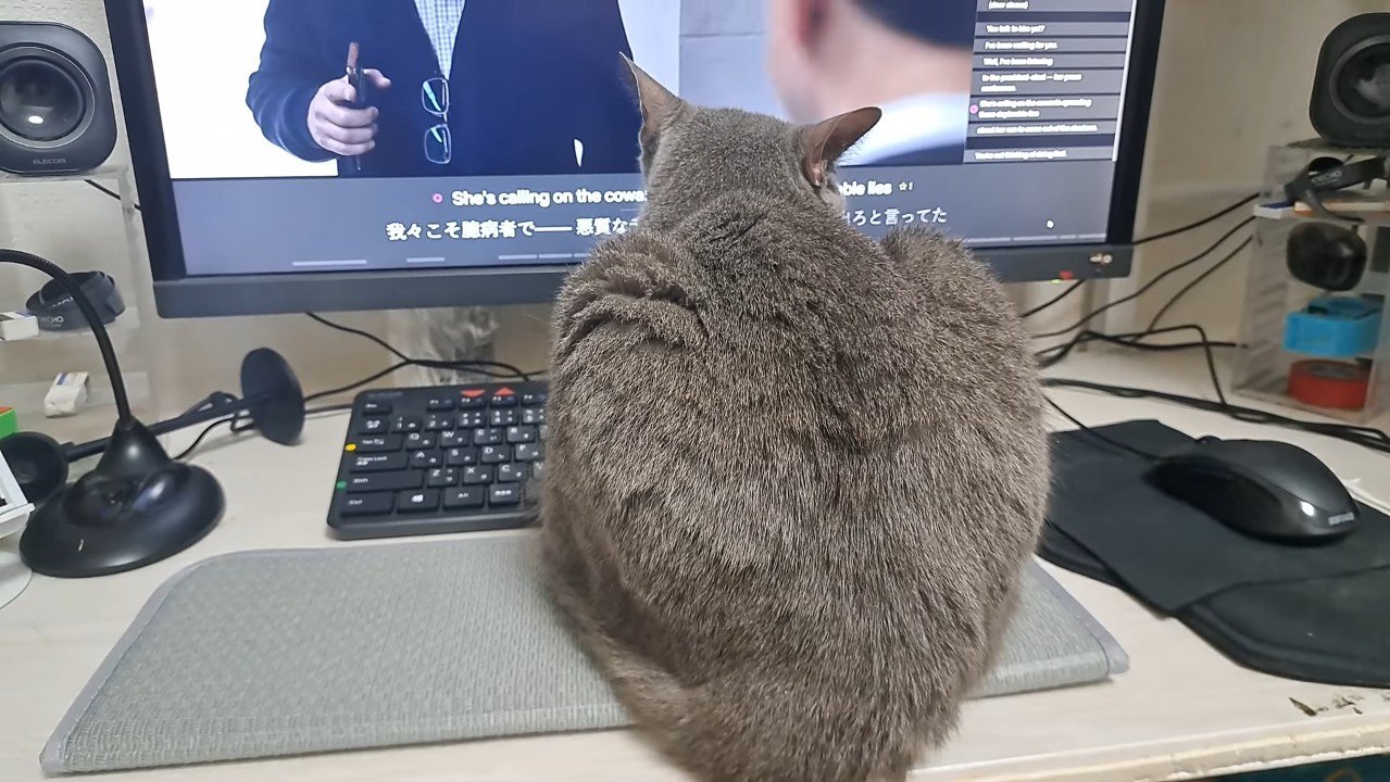 後ろ姿