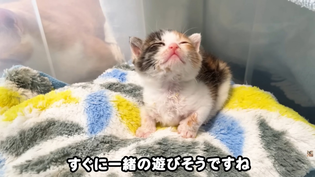 テロップ「すぐに一緒～」