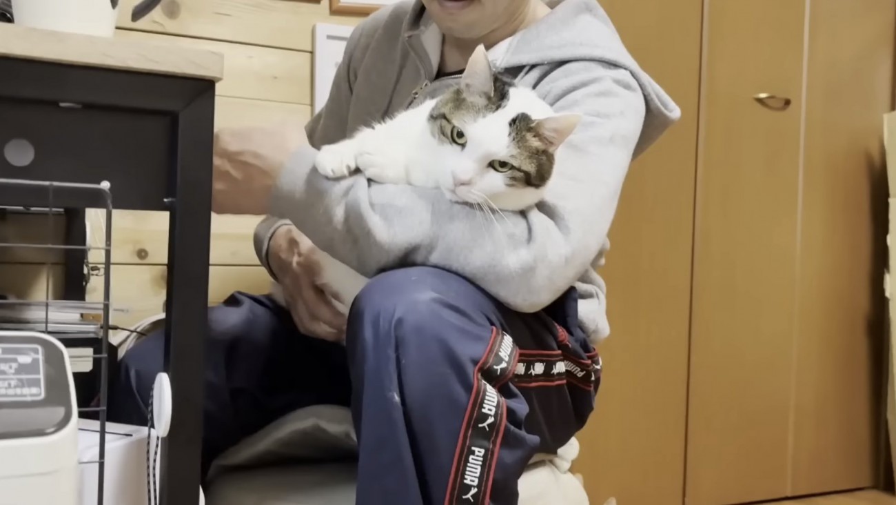 膝の上でくつろぐ猫の写真5