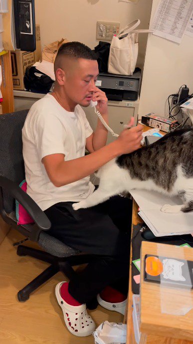 膝に乗ろうとする猫を押し戻す代表