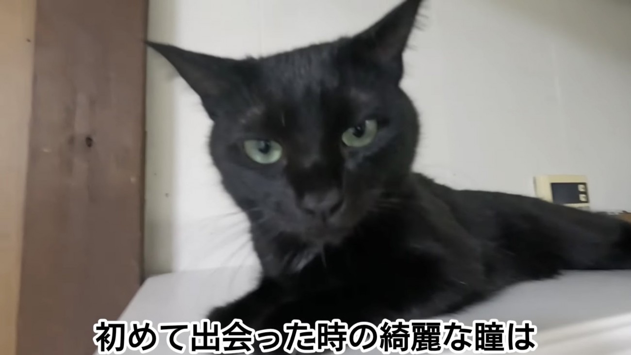 「初めて出会った時の...」のテロップ写真