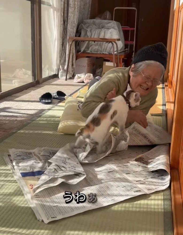 ベッドの近くにいる2匹の柴犬