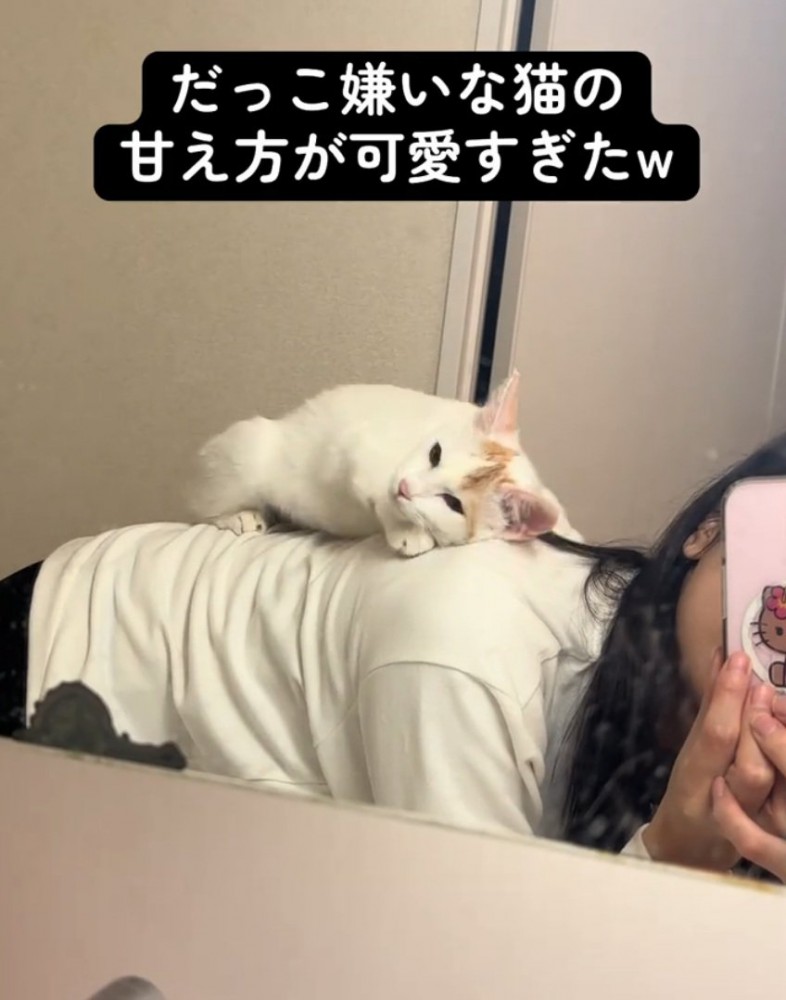 カメラ目線の猫