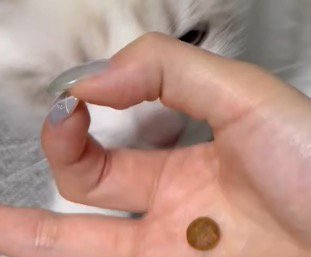 親指と人差し指で輪っかを作る女性