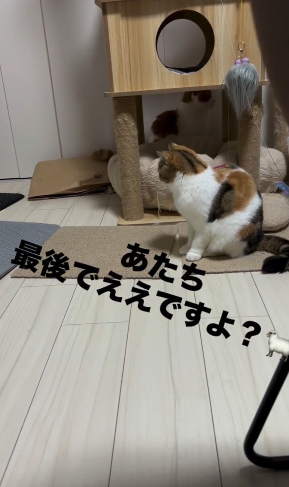 「あたち最後で…」と書かれた写真